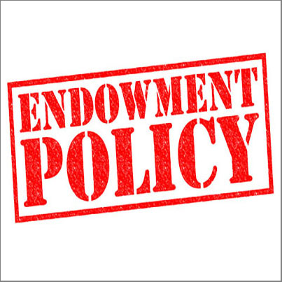 Endowments Funds